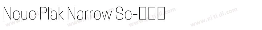 Neue Plak Narrow Se字体转换